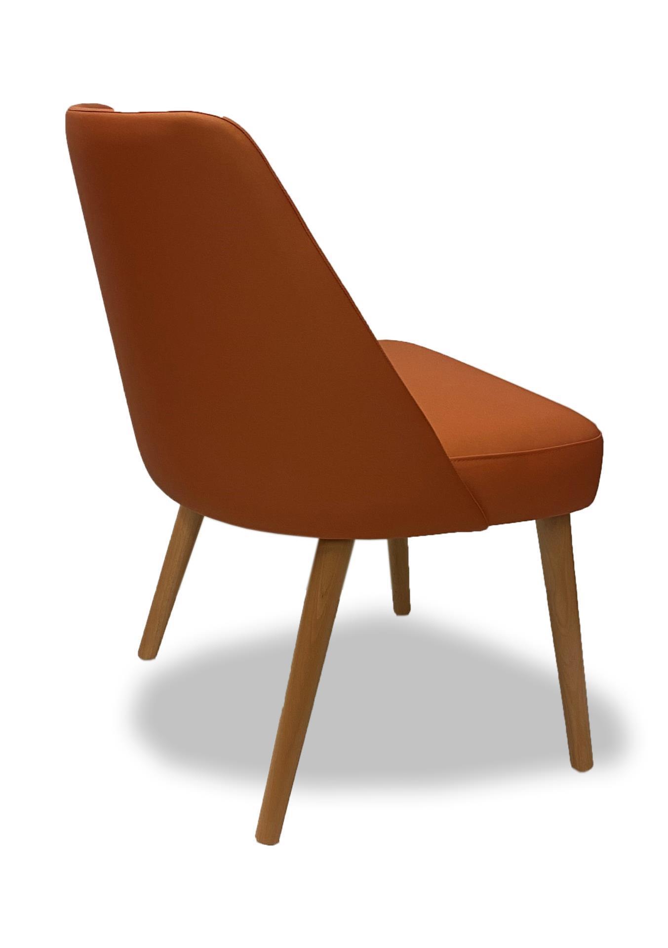 WDESIGN Modus Buche